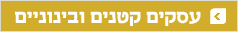 מדריכים - מימון