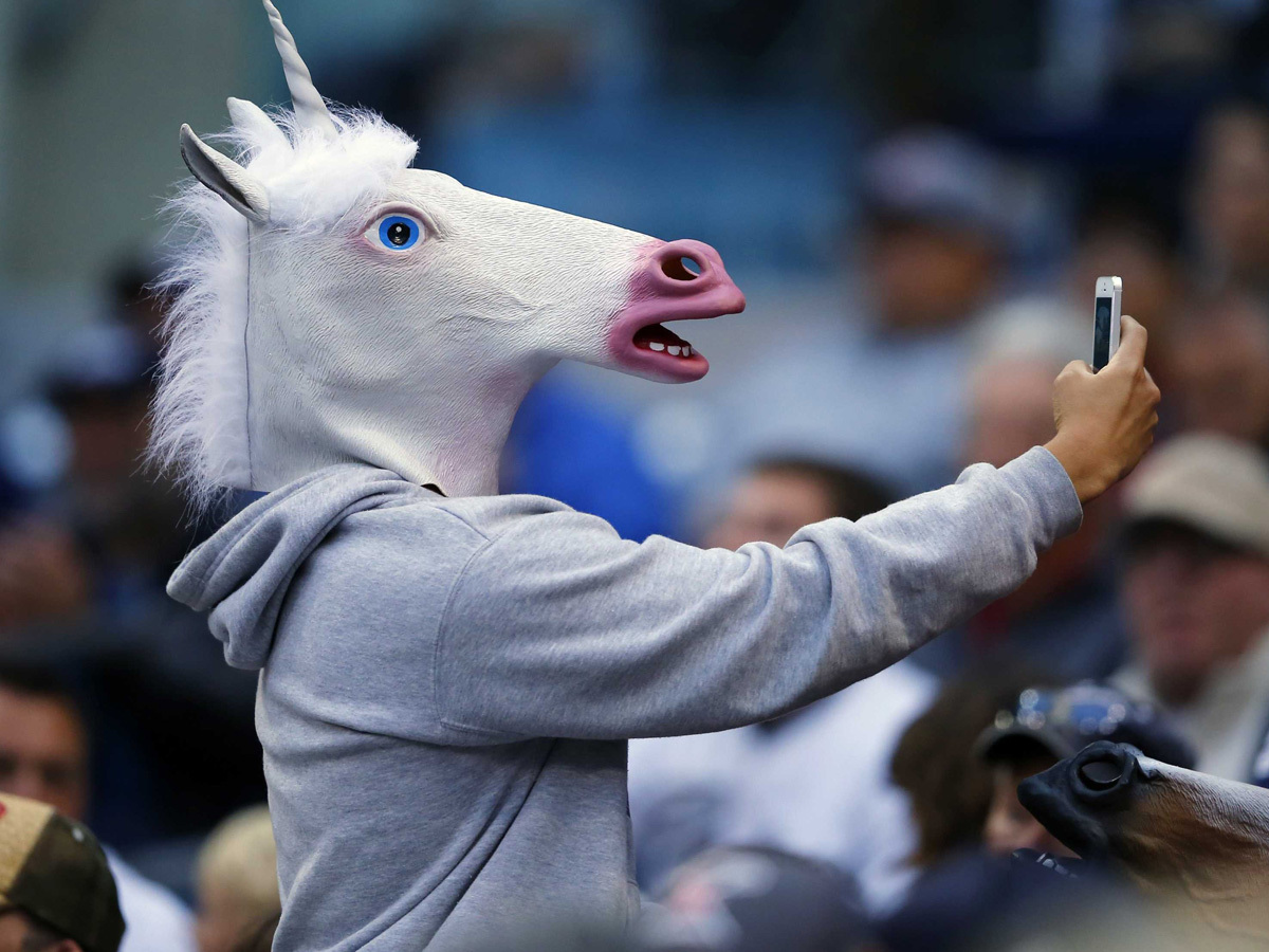 Will 2021 be the year of the unicorn? Will 2021 be the year of the unicorn?